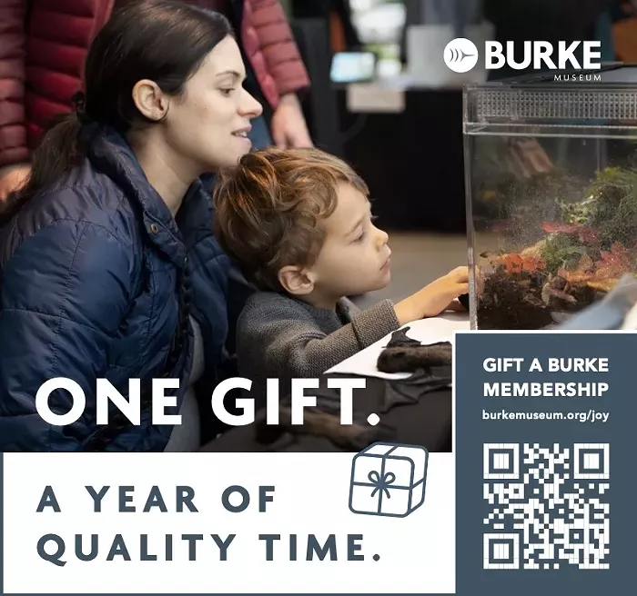 Burke Museum